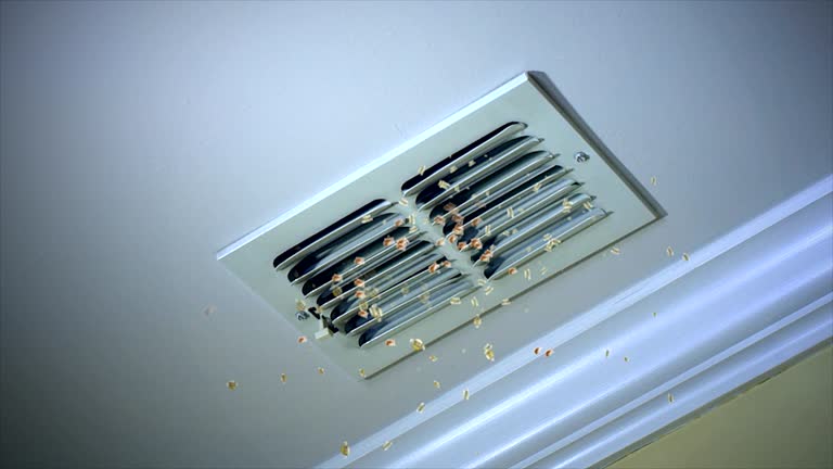 Best Air Duct Mold Removal  in Pompton Lakes, NJ
