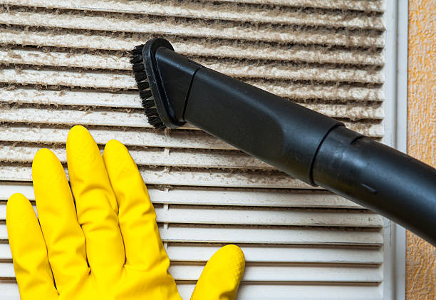 Air Duct Mold Removal in Pompton Lakes, NJ